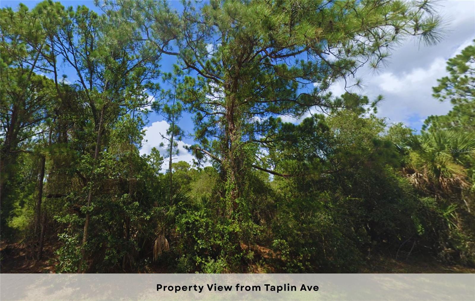Image 8 of 13 For Lots 10 & 11 Taplin Avenue