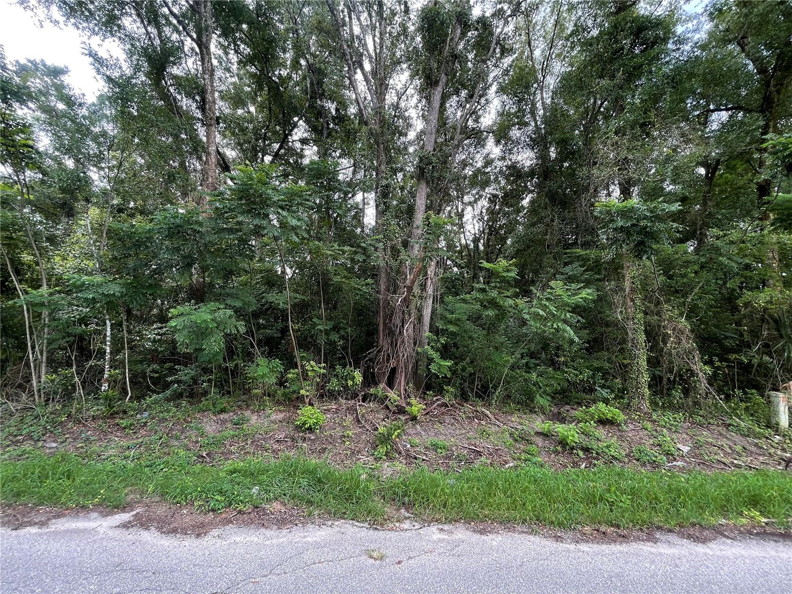Details for 0 135 Place , SUMMERFIELD, FL 34491