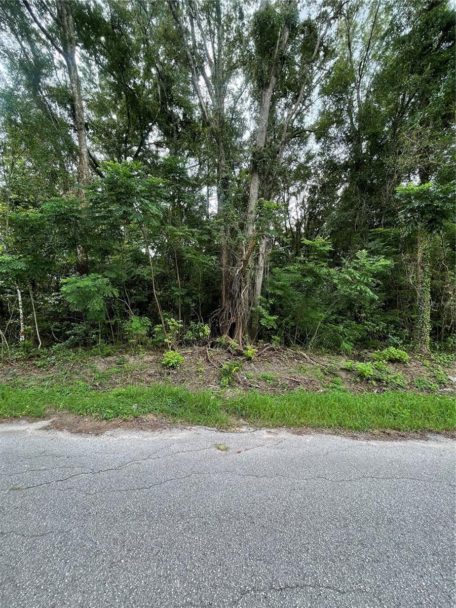 Image 2 of 4 For 0 135 Place 