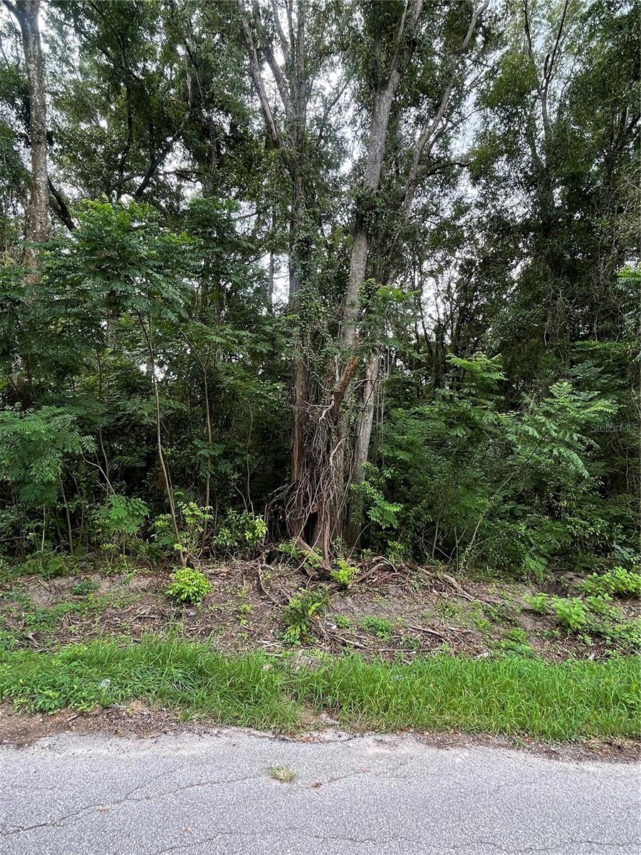 Image 3 of 4 For 0 135 Place 