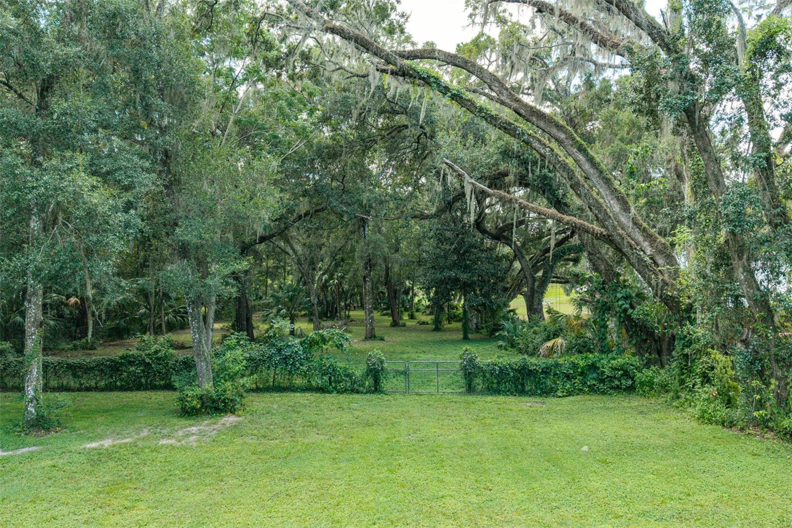 Image 38 of 44 For 8460 Magnolia Street