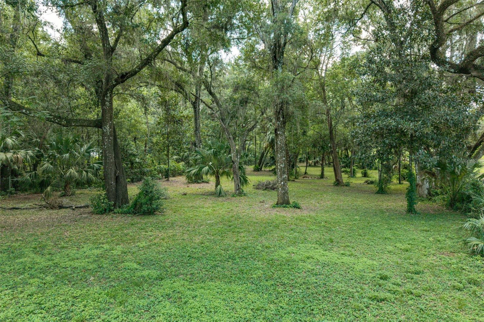 Image 39 of 44 For 8460 Magnolia Street