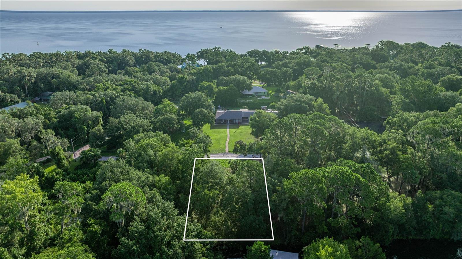 Details for Tbd 303rd Court, SALT SPRINGS, FL 32134