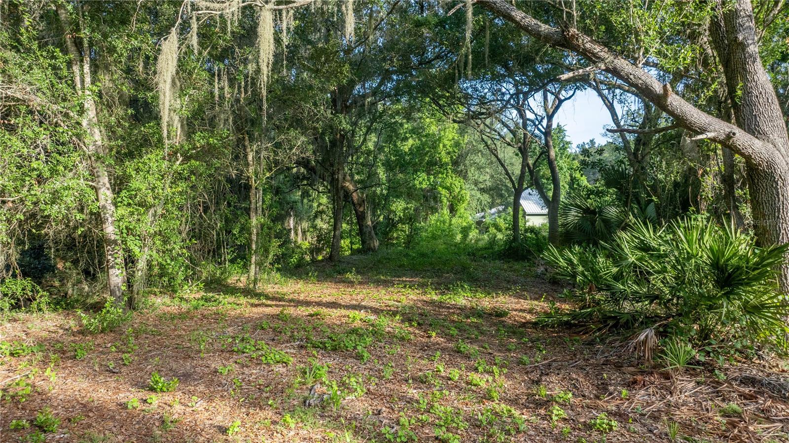 Image 8 of 11 For Tbd 303rd Court