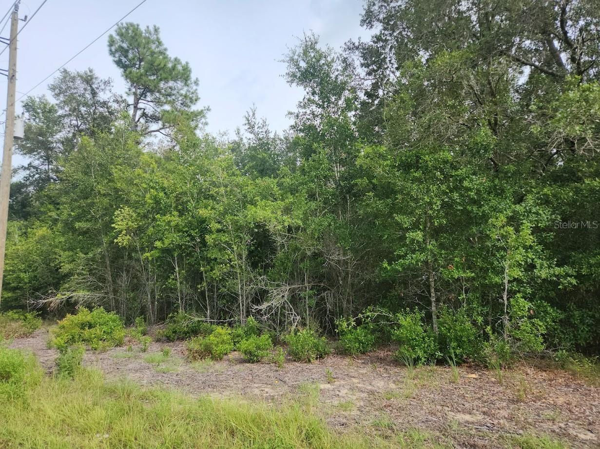 Image 4 of 13 For Lot 13 Rainbow Lakes Boulevard