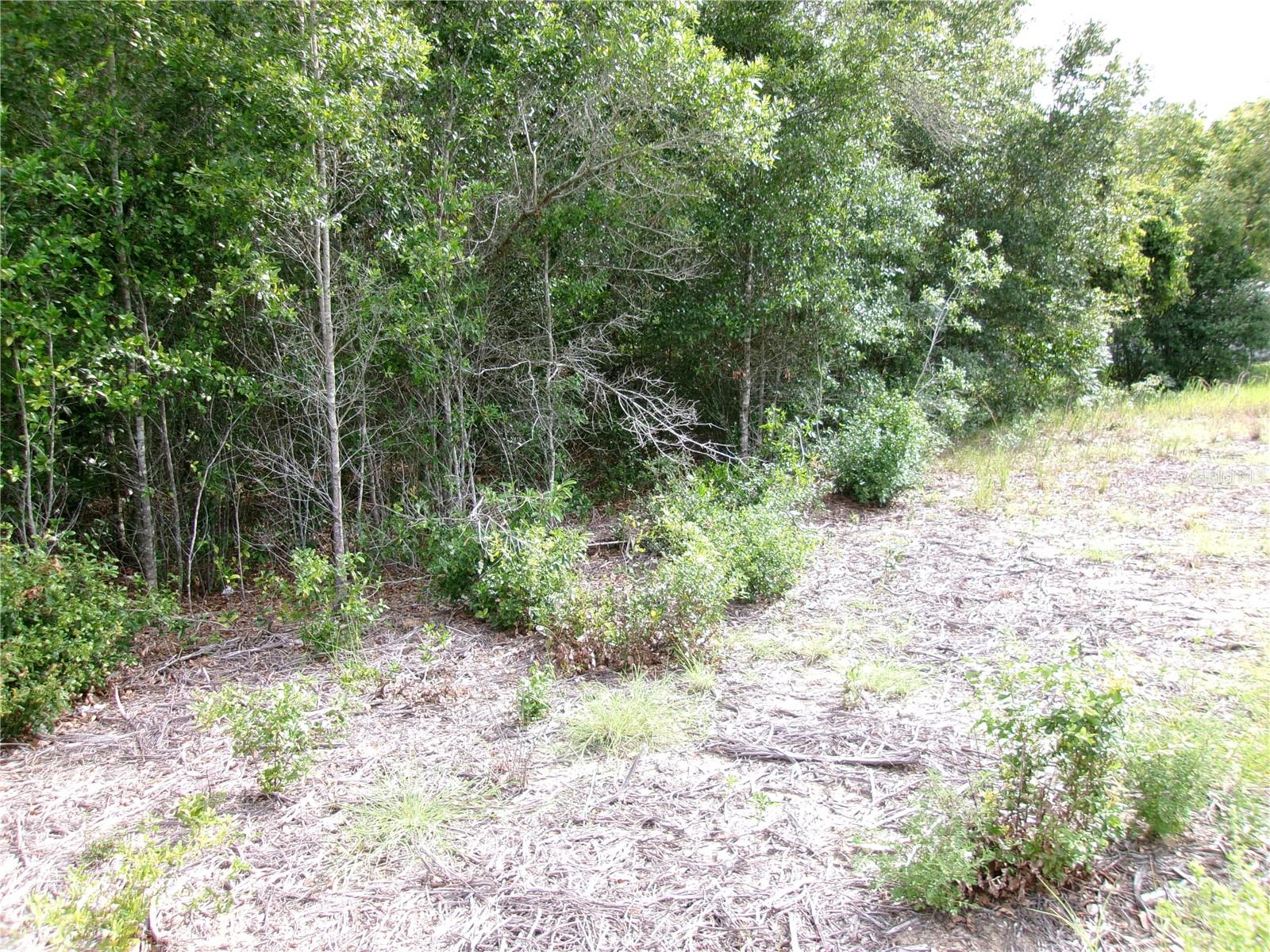 Image 5 of 13 For Lot 13 Rainbow Lakes Boulevard