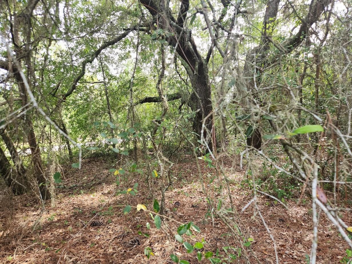 Details for Lot 27 Pine Bluffs Road, DUNNELLON, FL 34431