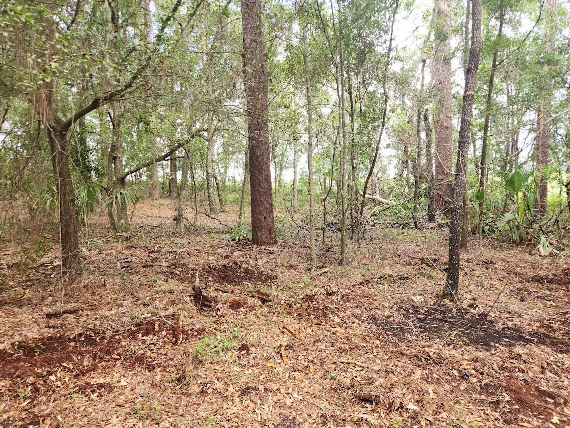 Image 20 of 22 For Lot 27 Pine Bluffs Road