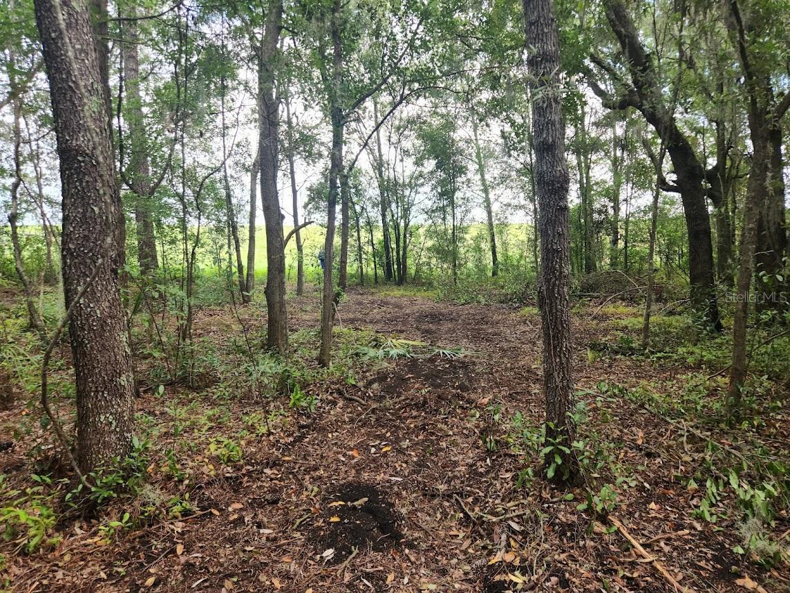 Image 21 of 22 For Lot 27 Pine Bluffs Road