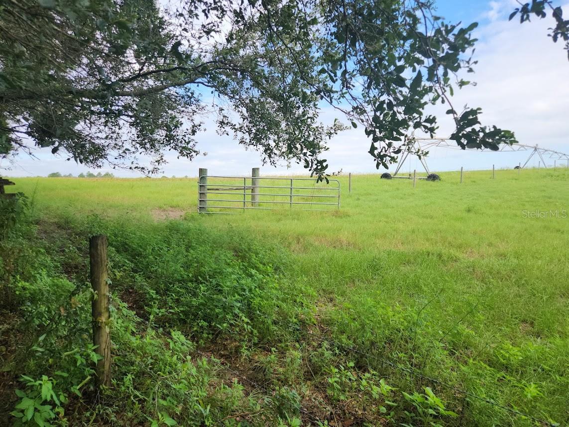 Image 22 of 22 For Lot 27 Pine Bluffs Road