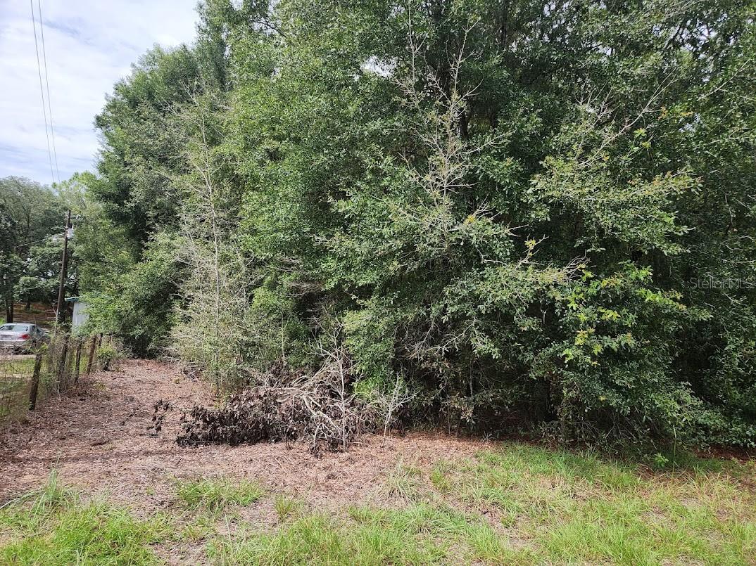 Image 4 of 18 For Lot 27 Pine Bluffs Road