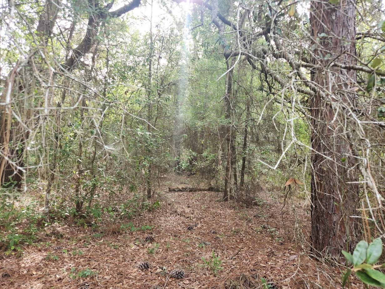 Image 6 of 18 For Lot 27 Pine Bluffs Road