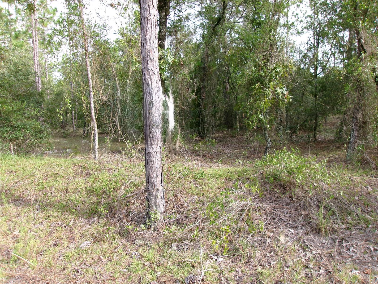 Details for Lot 8 Nautilus Boulevard, DUNNELLON, FL 34431