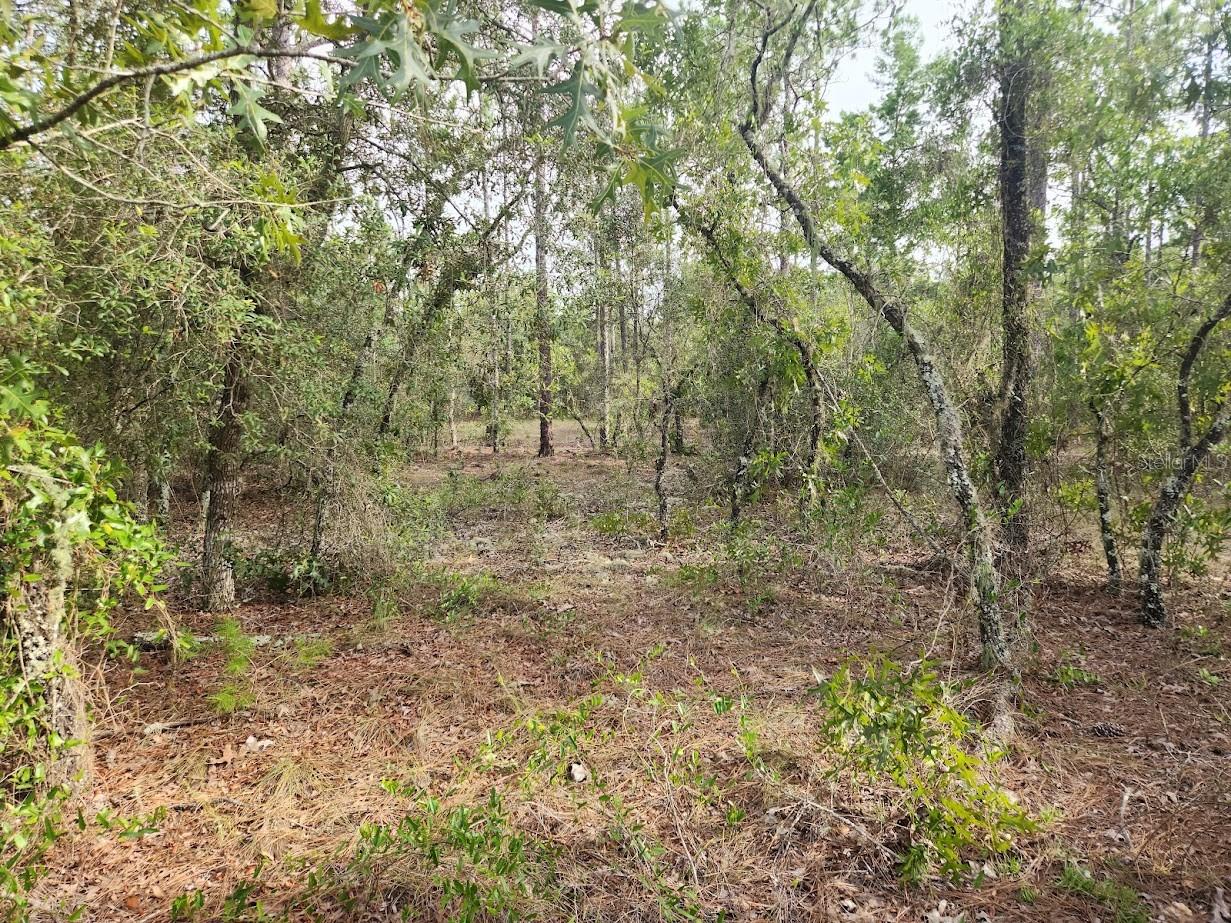 Image 8 of 16 For Lot 8 Nautilus Boulevard