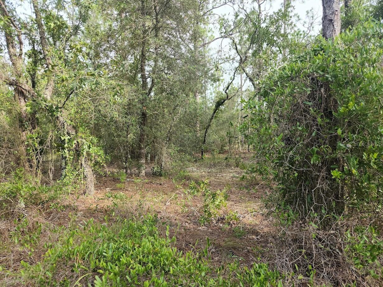 Image 9 of 16 For Lot 8 Nautilus Boulevard