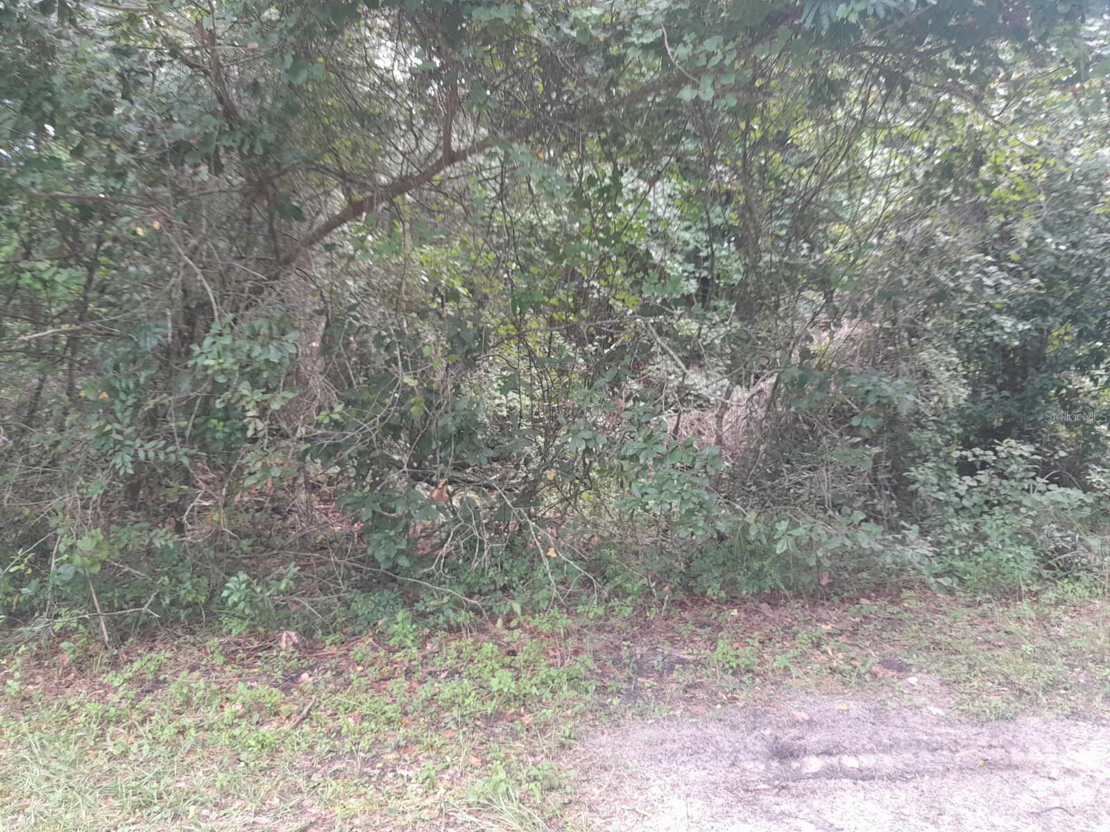 Image 3 of 9 For Tbd 172nd Place