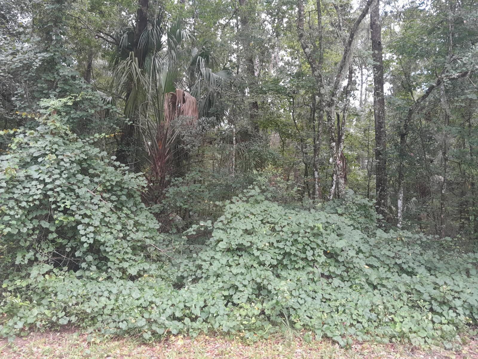 Image 4 of 9 For Tbd 172nd Place