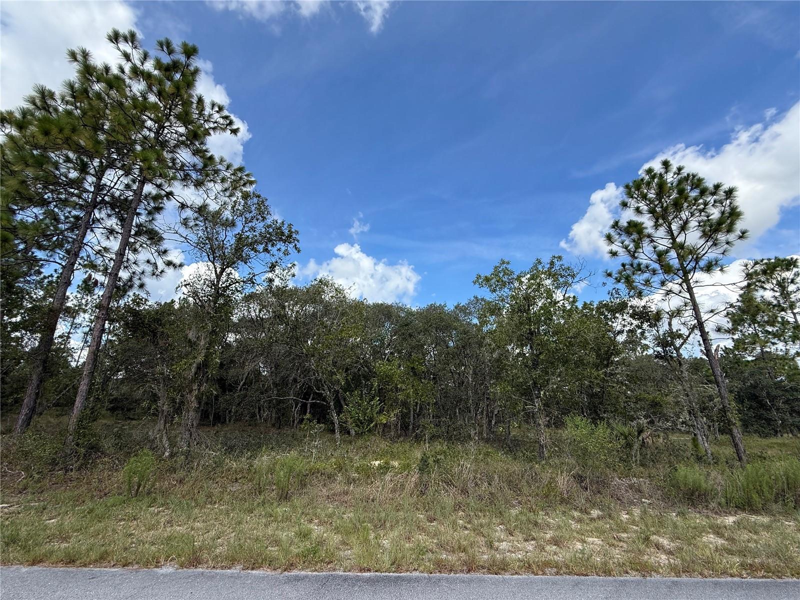 Details for Tbd Temple Heights Court, DUNNELLON, FL 34431