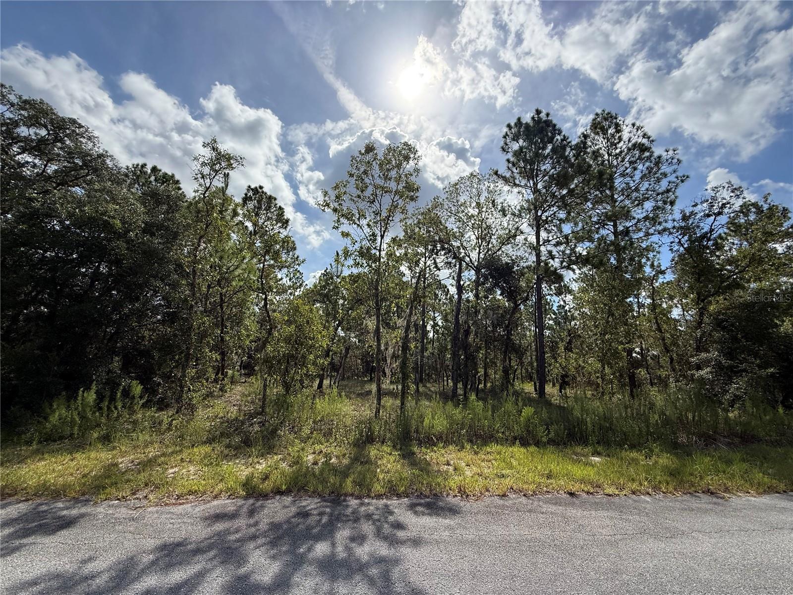 Details for Tbd Temple Heights Court, DUNNELLON, FL 34431