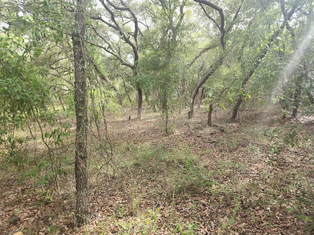 Image 8 of 18 For Lot 3 Nectarine Lane