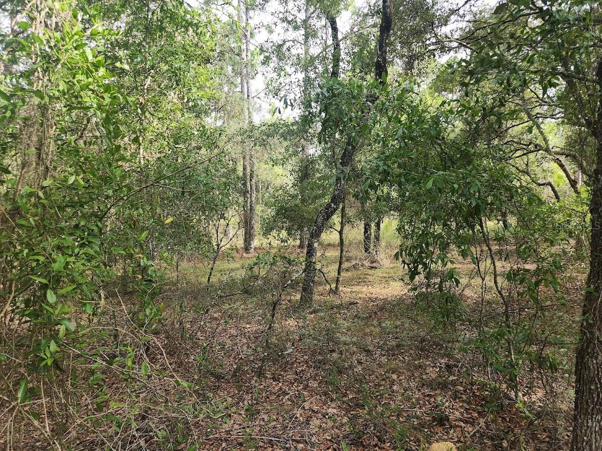Image 9 of 18 For Lot 3 Nectarine Lane