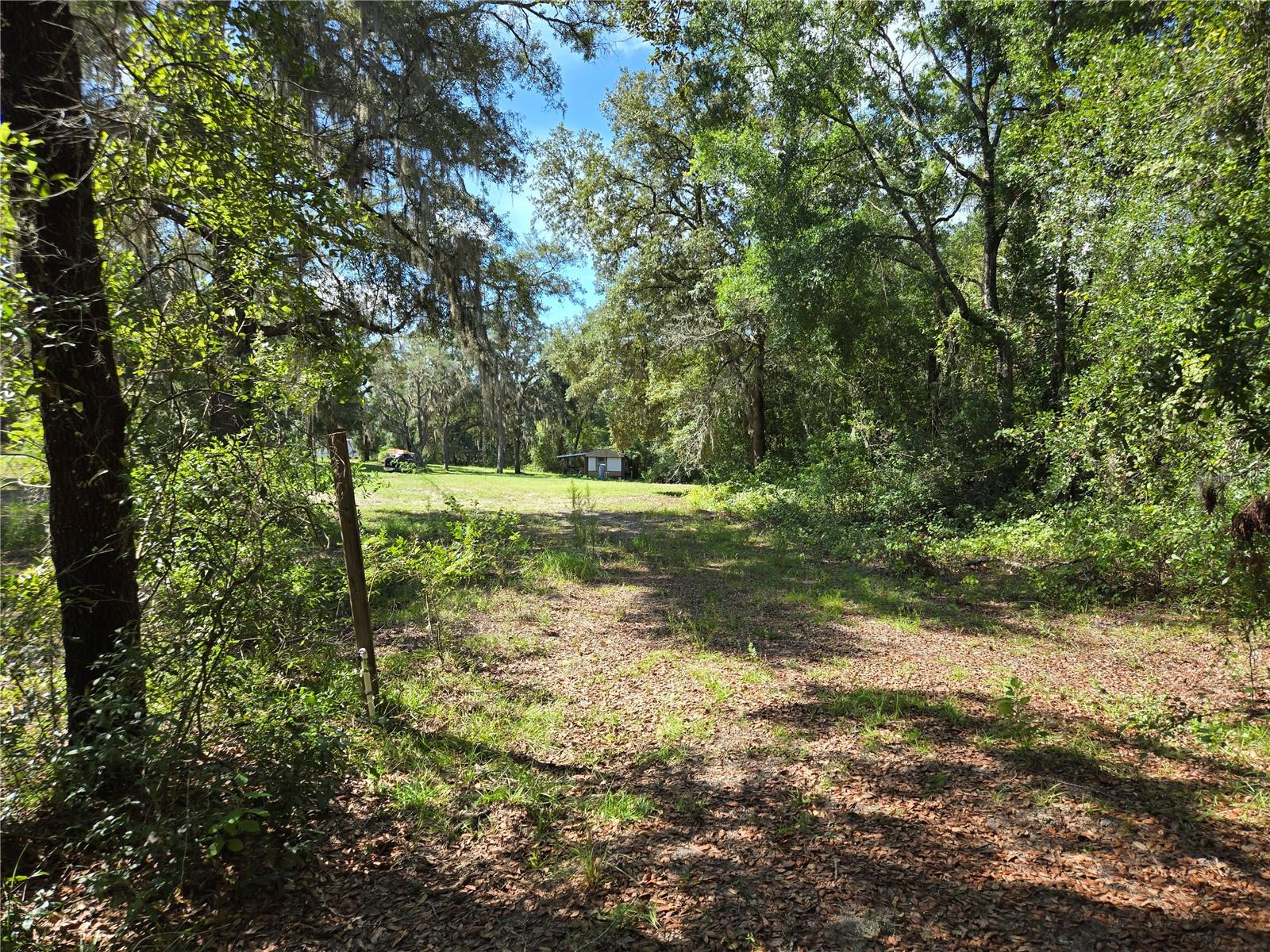 Image 12 of 13 For 2670 County Road 337bronson