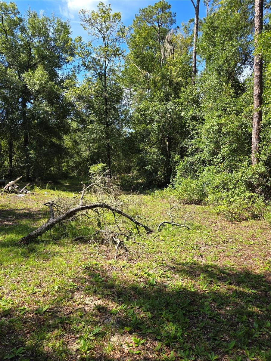 Image 8 of 13 For 2670 County Road 337bronson
