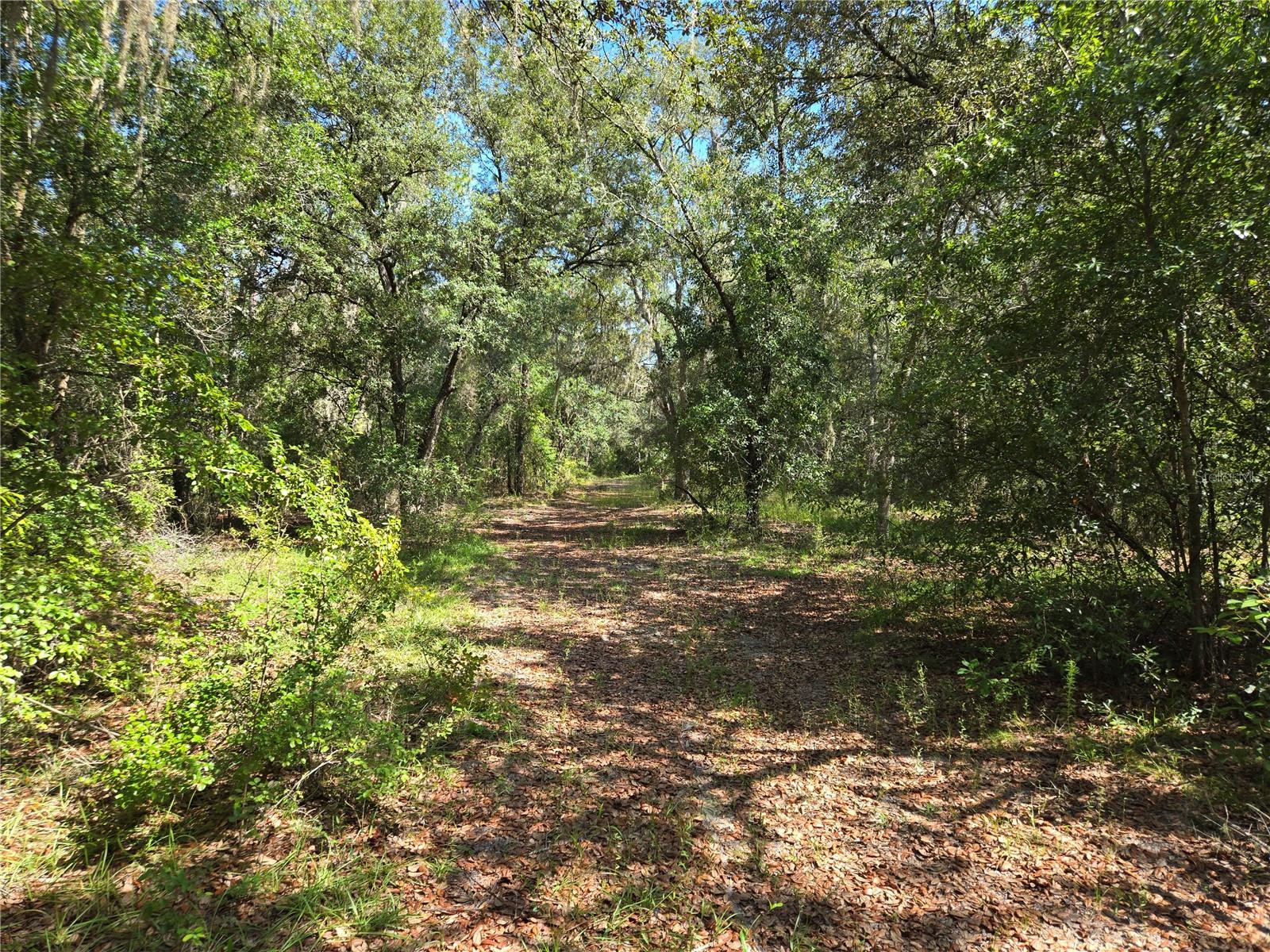 Image 9 of 13 For 2670 County Road 337bronson