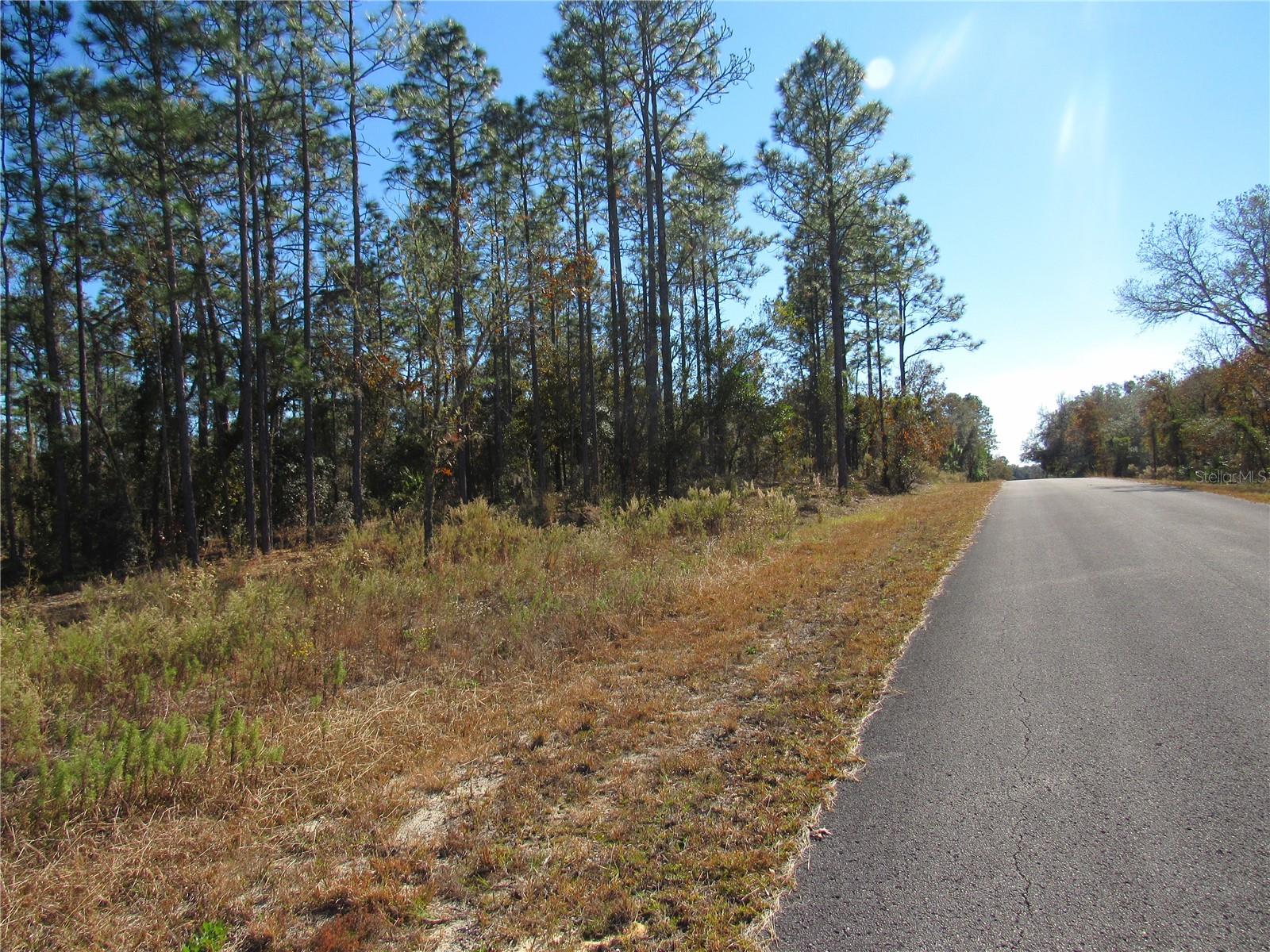 Details for 0000 Sands Pt Ave Lot 32, DUNNELLON, FL 34431