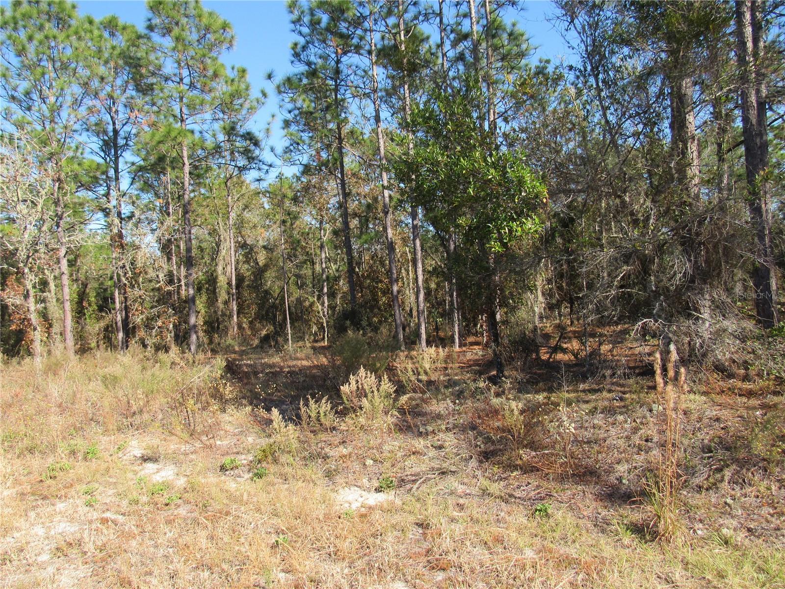 Image 4 of 4 For 0000 Sands Pt Ave Lot 32