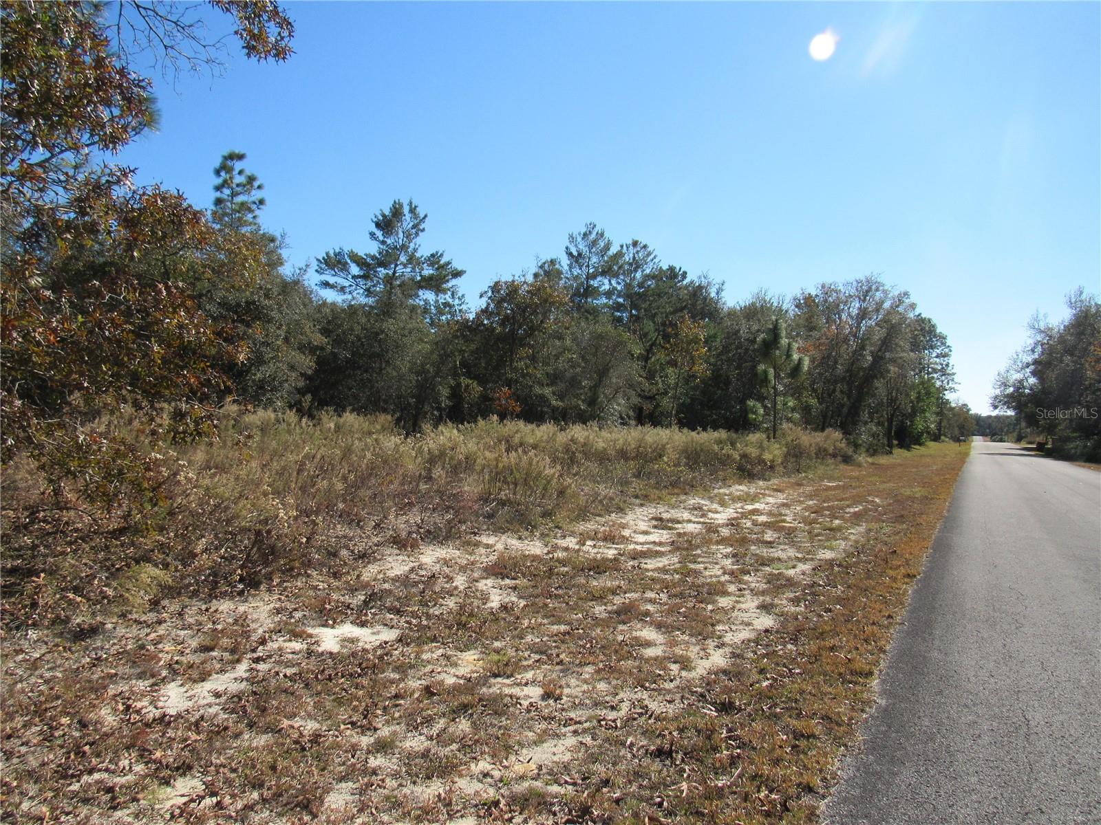 Details for 0000 Sands Point Ave Lot 38, DUNNELLON, FL 34431