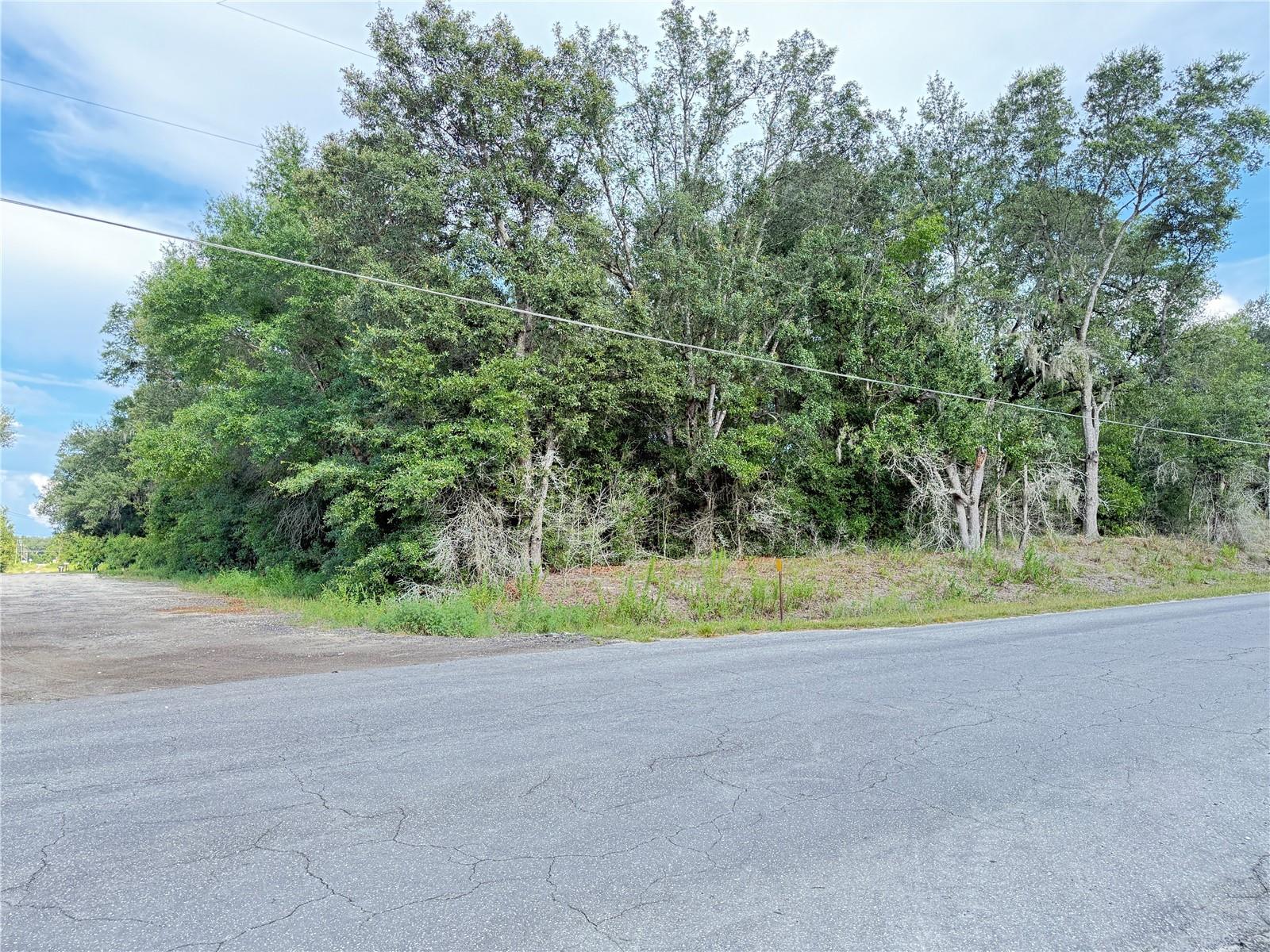 Details for 0 Sw 112th Street, DUNNELLON, FL 34432