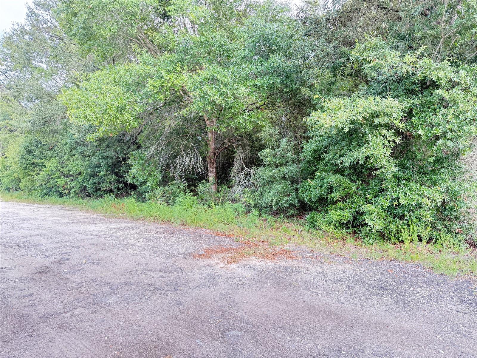 Image 6 of 8 For 0 Sw 112th Street