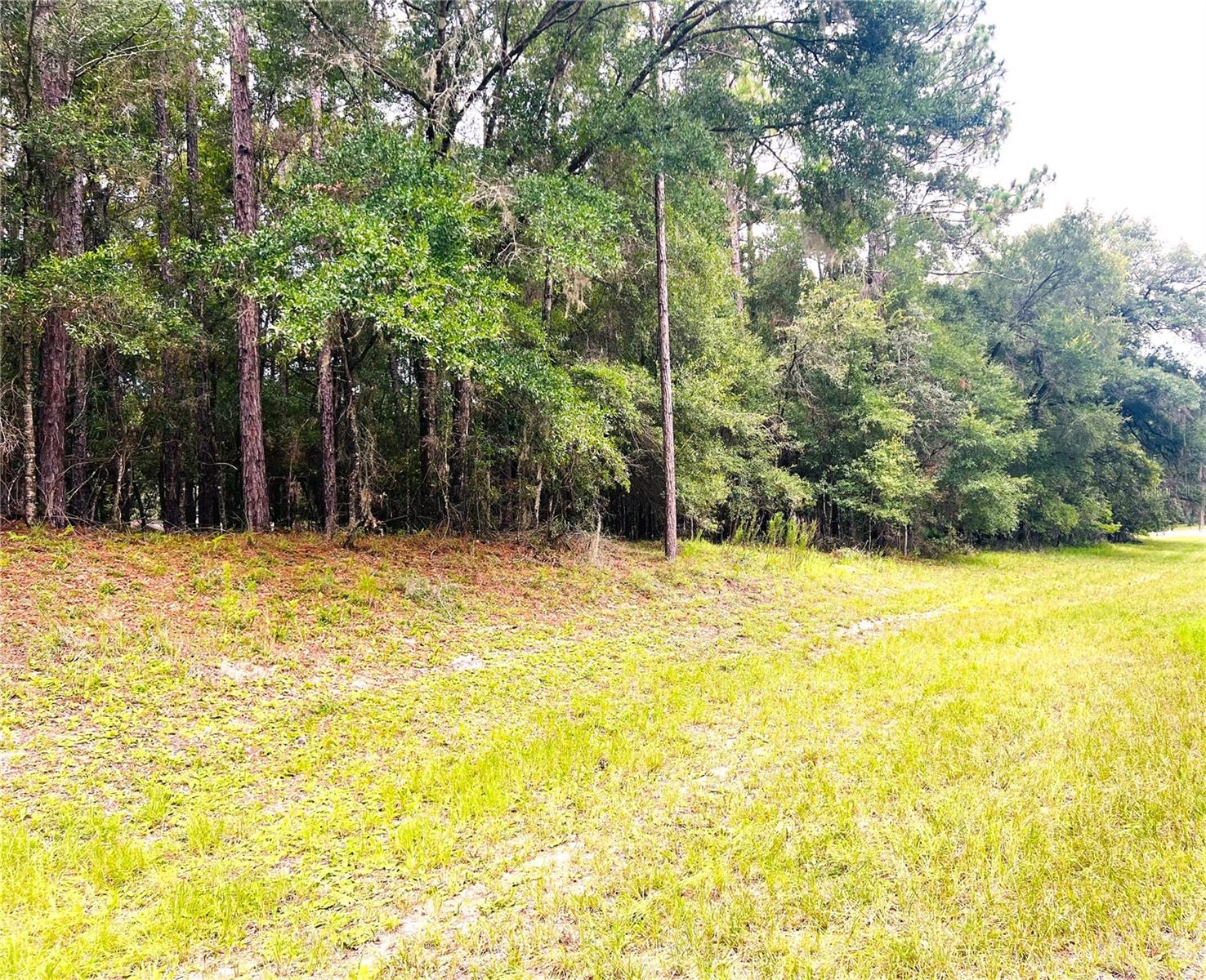 Details for 0000 185 Avenue Road Road, DUNNELLON, FL 34432