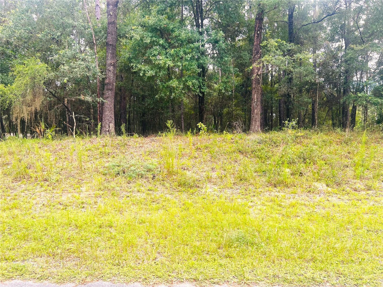 Image 11 of 22 For 0000 185 Avenue Road Road