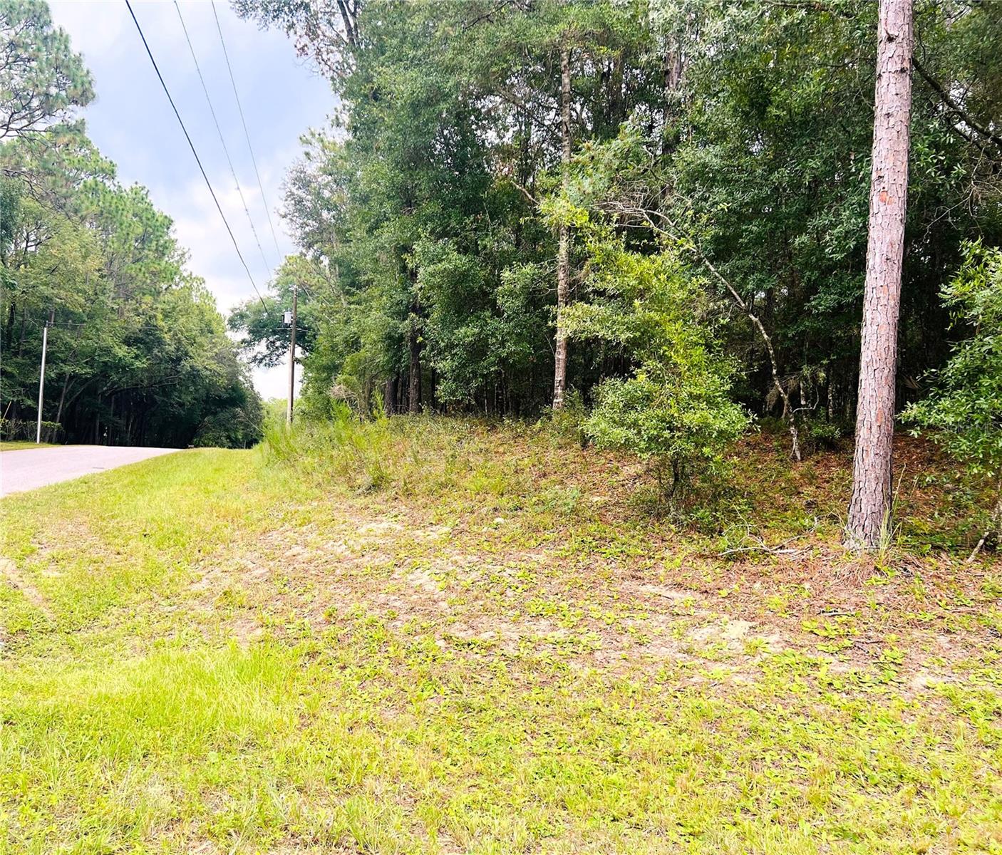 Image 3 of 22 For 0000 185 Avenue Road Road