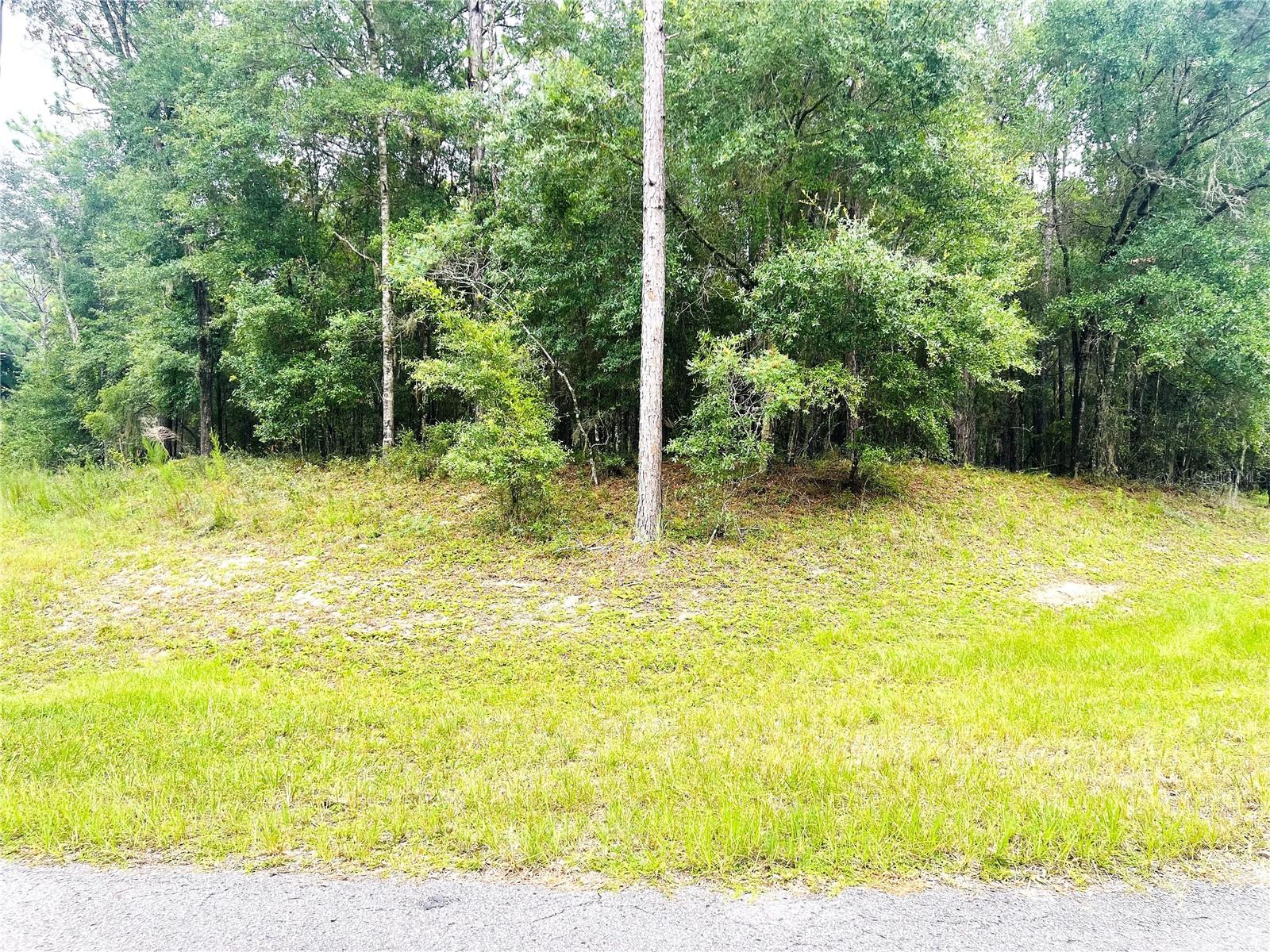 Image 4 of 22 For 0000 185 Avenue Road Road
