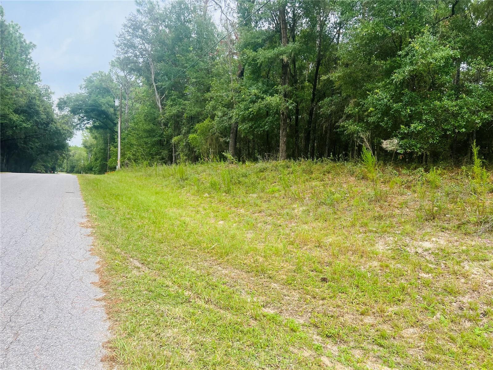 Image 5 of 22 For 0000 185 Avenue Road Road