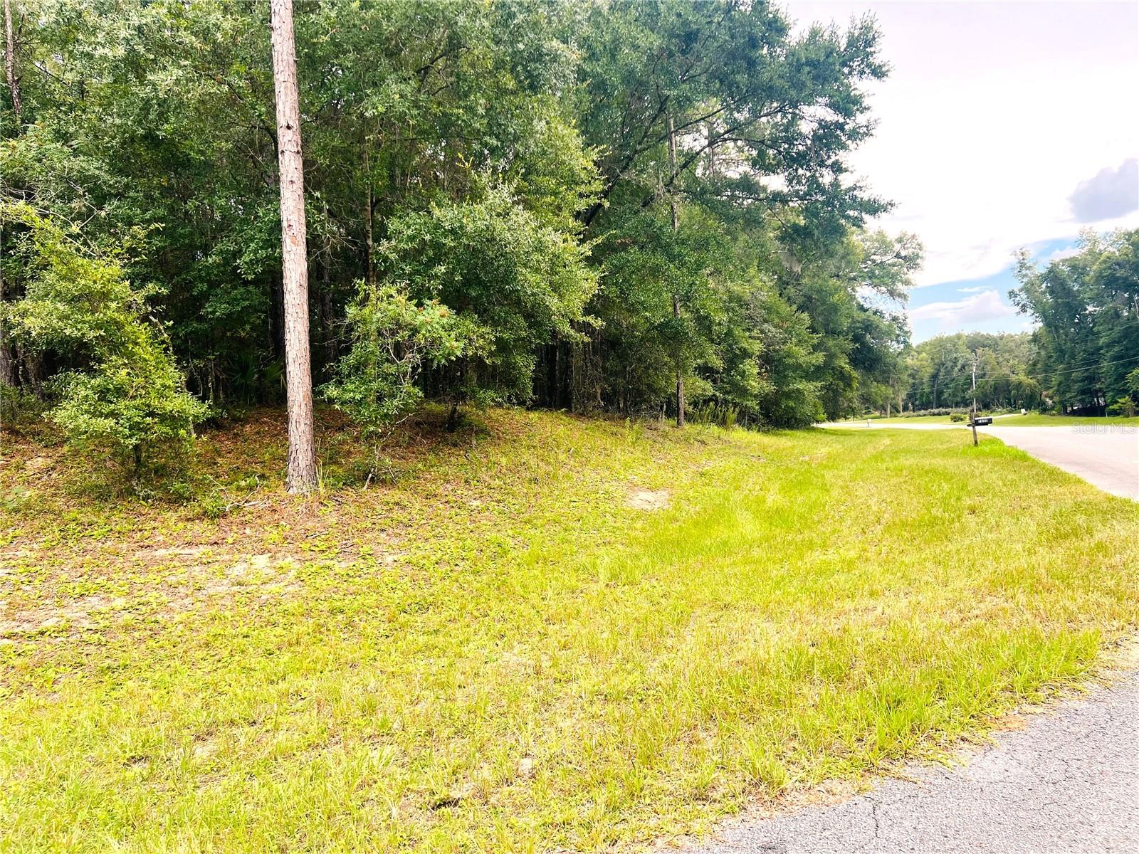 Image 6 of 22 For 0000 185 Avenue Road Road