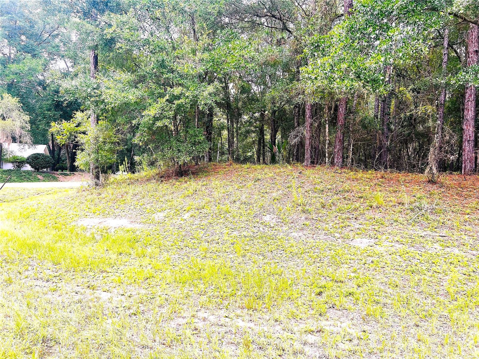 Image 7 of 22 For 0000 185 Avenue Road Road