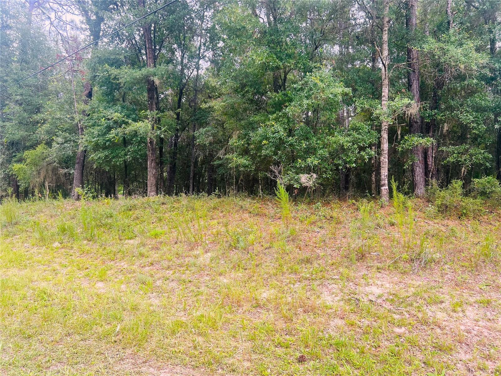 Image 8 of 22 For 0000 185 Avenue Road Road
