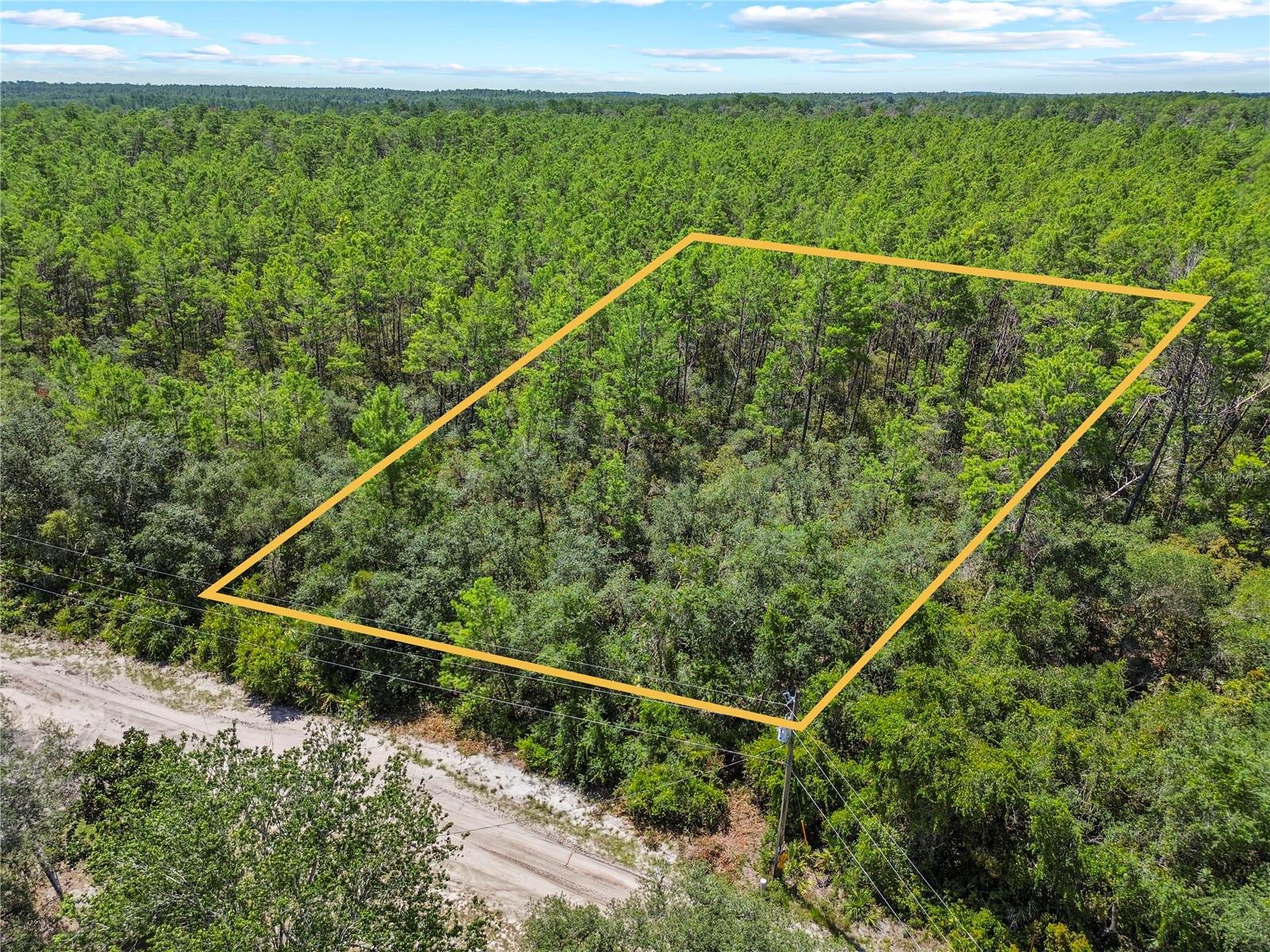 Details for 00 142 Pl  , UMATILLA, FL 32784