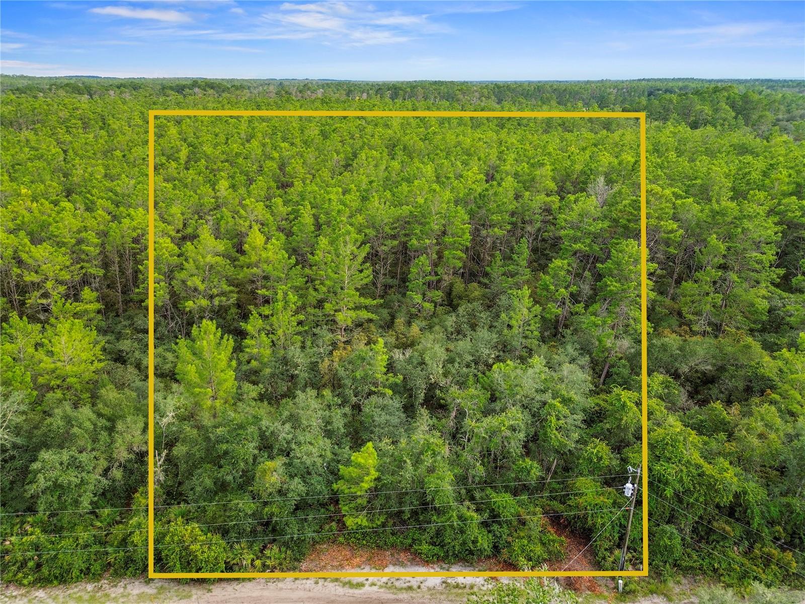 Image 9 of 12 For 00 142 Pl  