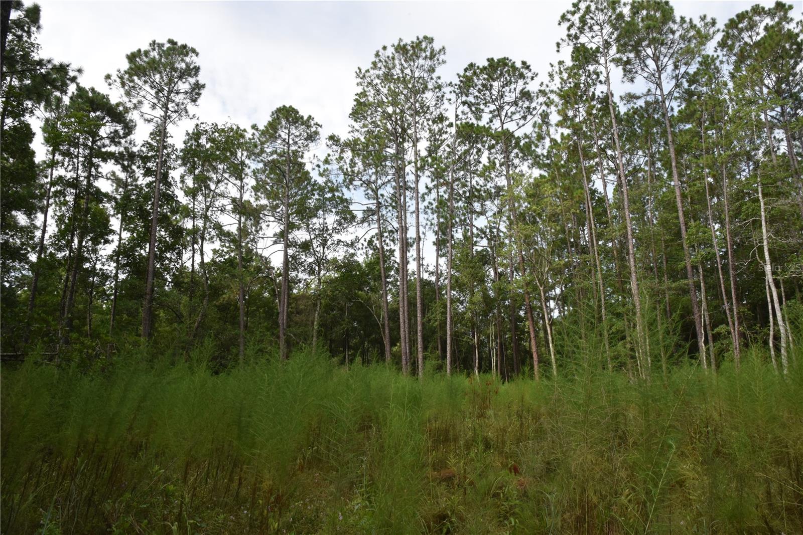 Image 10 of 22 For 4050 Als Satch Road