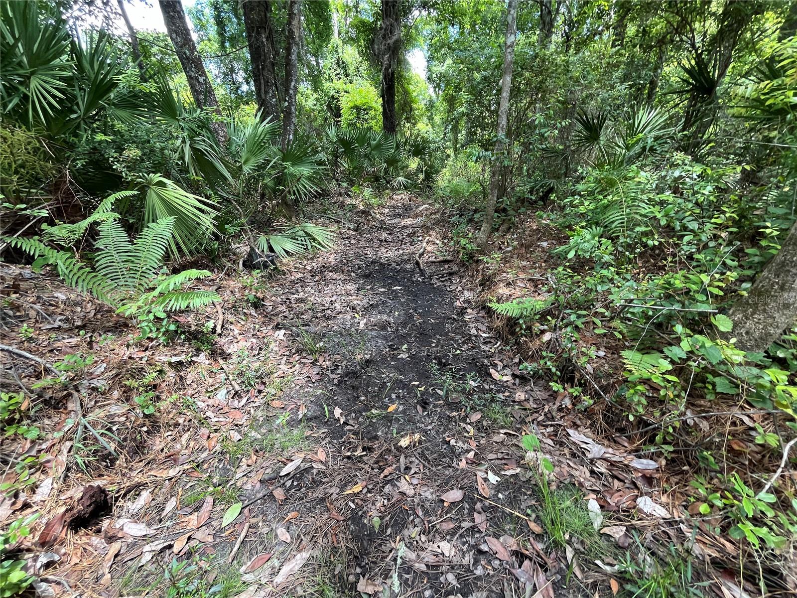 Image 13 of 22 For 4050 Als Satch Road