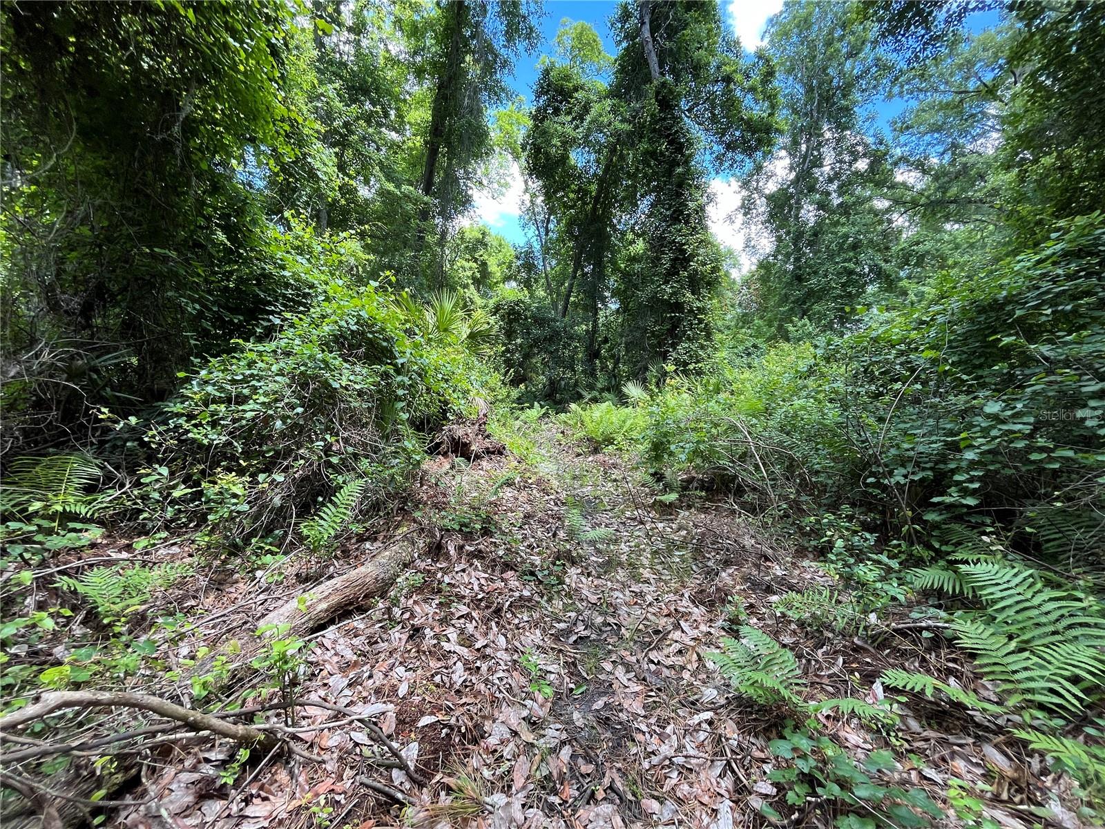 Image 14 of 22 For 4050 Als Satch Road