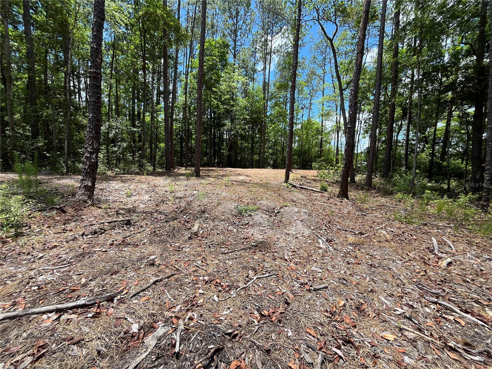 Image 16 of 22 For 4050 Als Satch Road