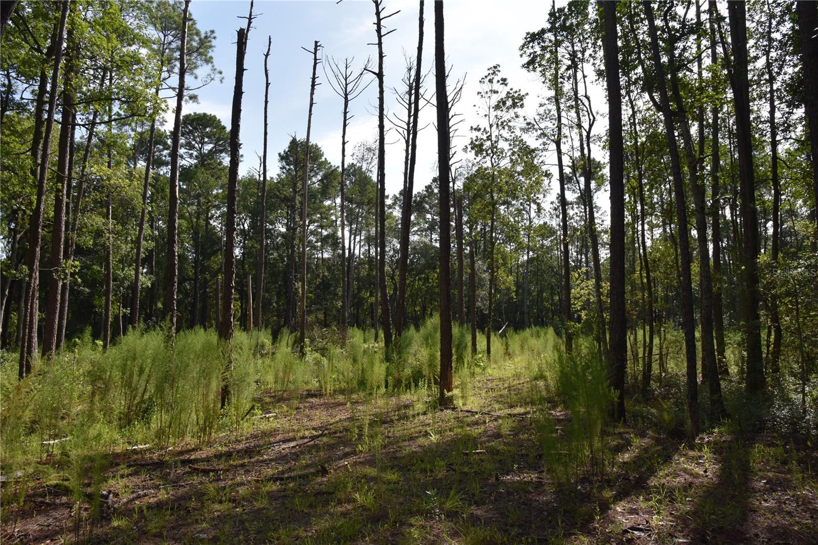Image 18 of 22 For 4050 Als Satch Road