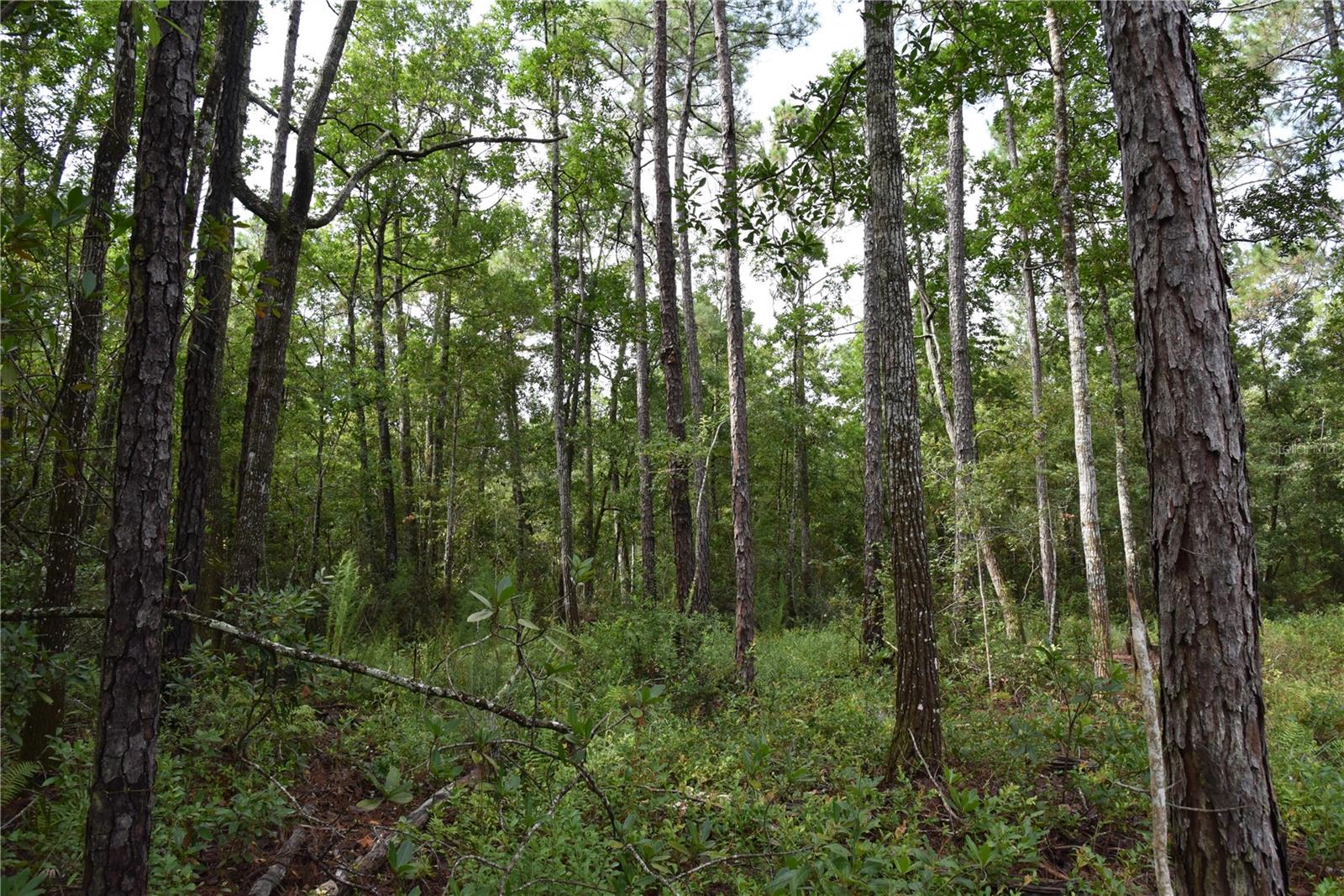 Image 21 of 22 For 4050 Als Satch Road