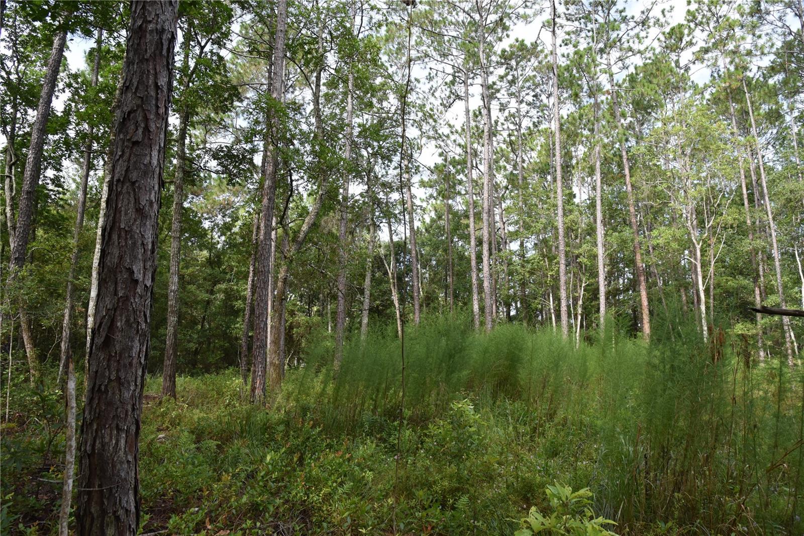 Image 22 of 22 For 4050 Als Satch Road